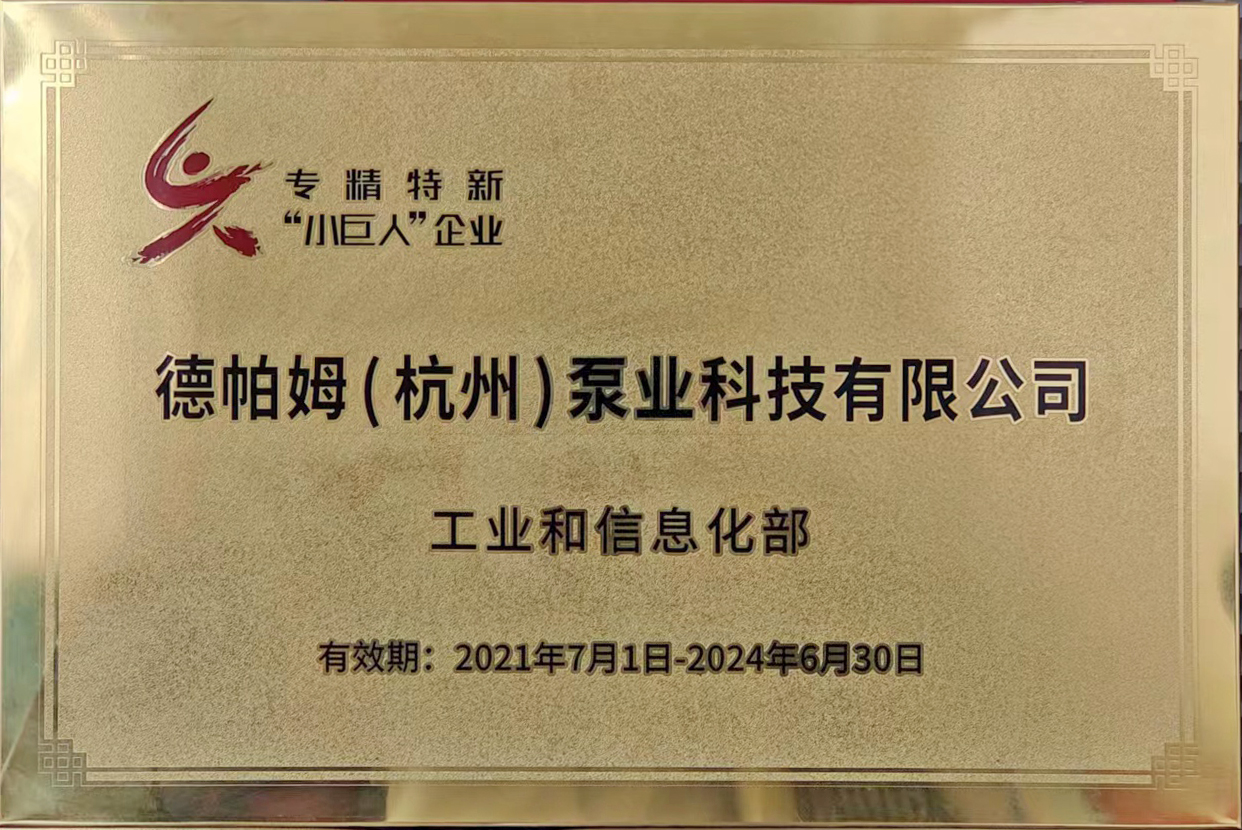 國家級重點小巨人企業(yè)，杭州共5家，錢塘區(qū)僅德帕姆1家！